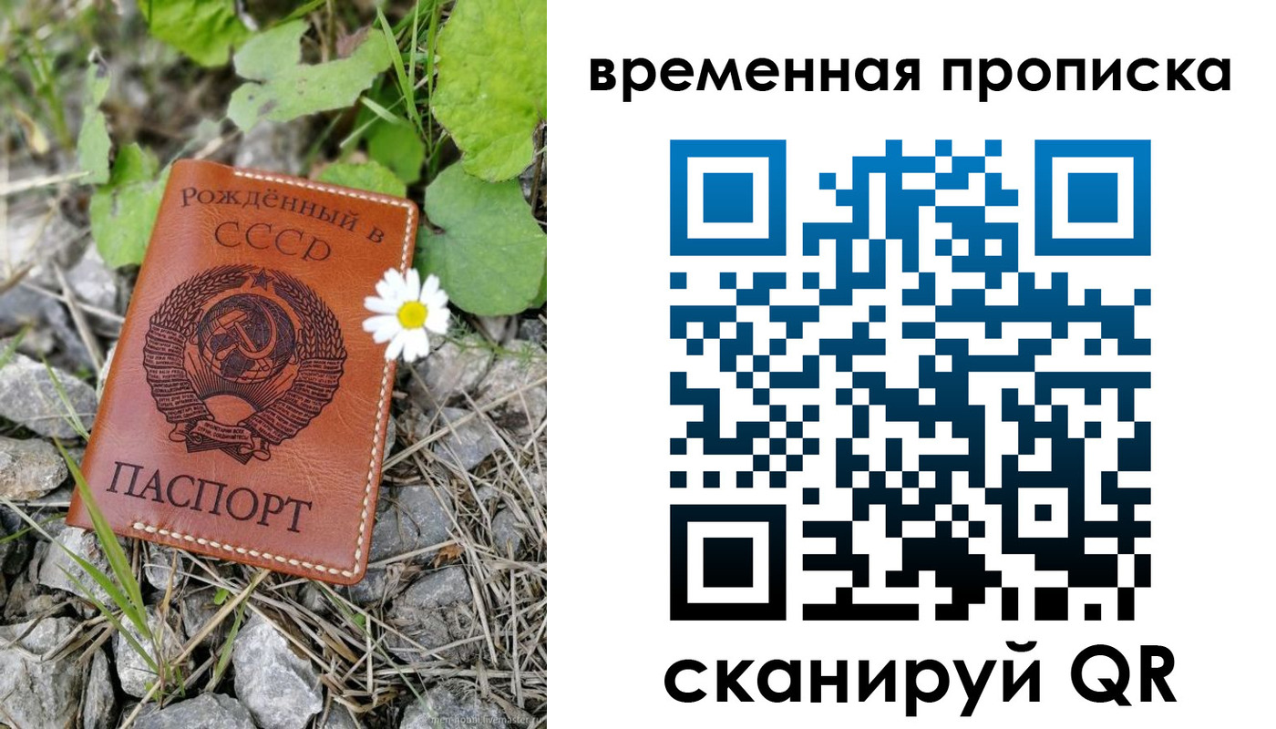 временная регистрация поиск в Петропавловске-Камчатском